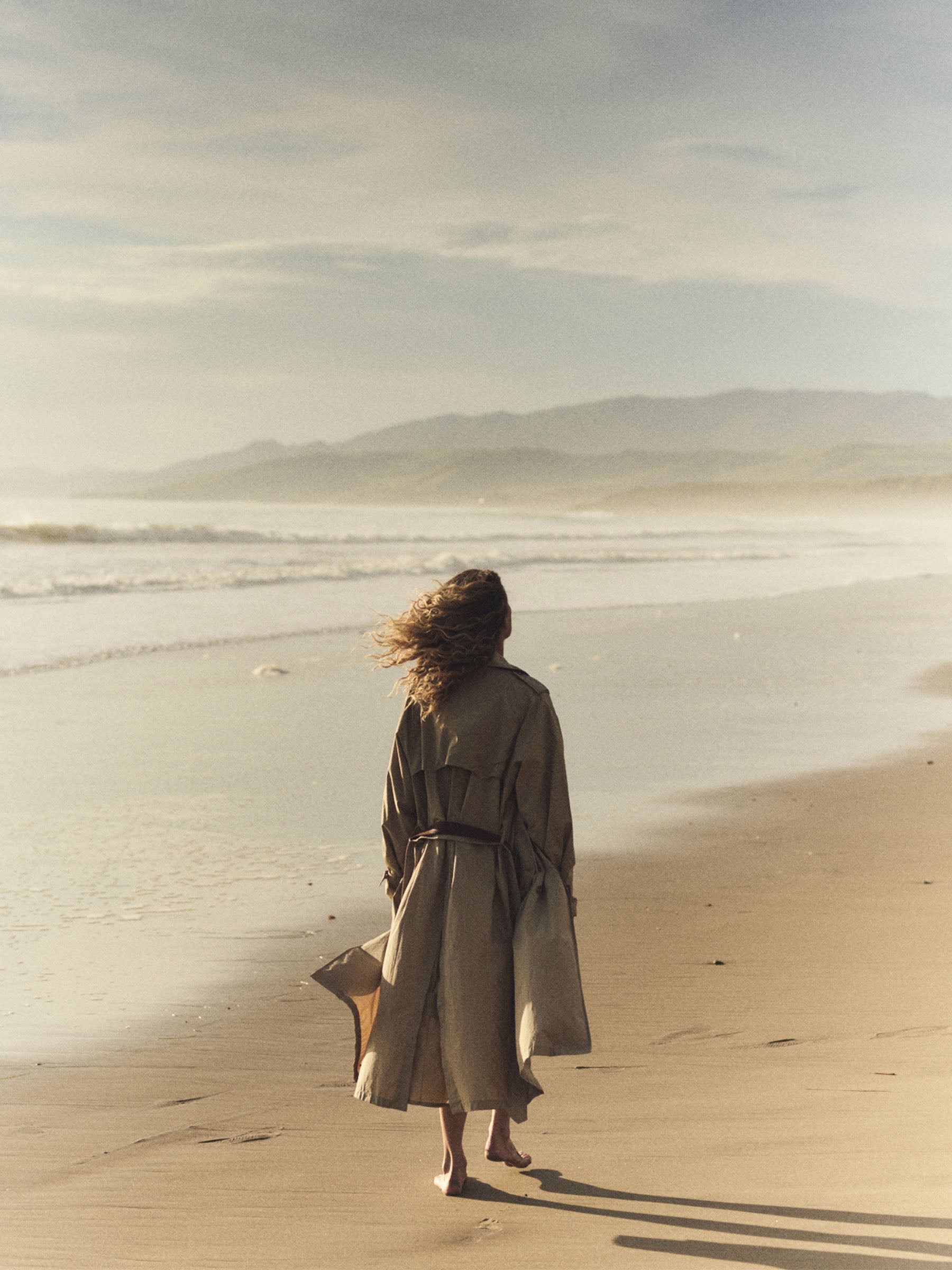 Alternative view of Dried Olive Signature Trench